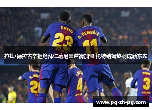 拉杜·德拉古辛拒绝拜仁慕尼黑邀请加盟 托特纳姆热刺成新东家