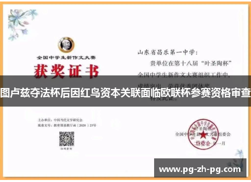 图卢兹夺法杯后因红鸟资本关联面临欧联杯参赛资格审查